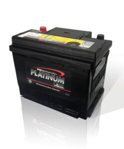 Platinum DIN56219
